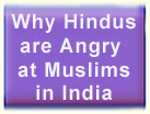 Why Hindus are Angry at Muslims in India